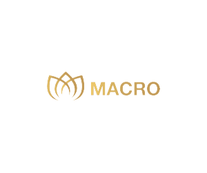 MACRO MARKETS